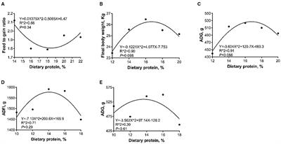 Effects of Different Dietary Protein Levels on the Growth Performance, Serum Biochemical Parameters, Fecal Nitrogen, and Carcass Traits of Huanjiang Mini-Pigs